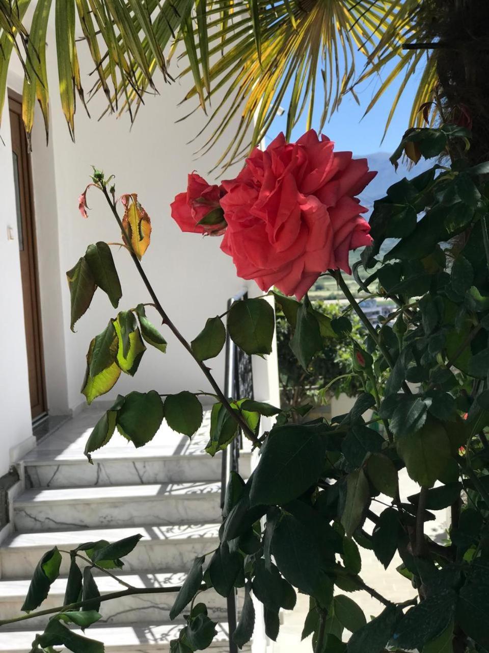 Villa Qeli Gjirokastër Esterno foto