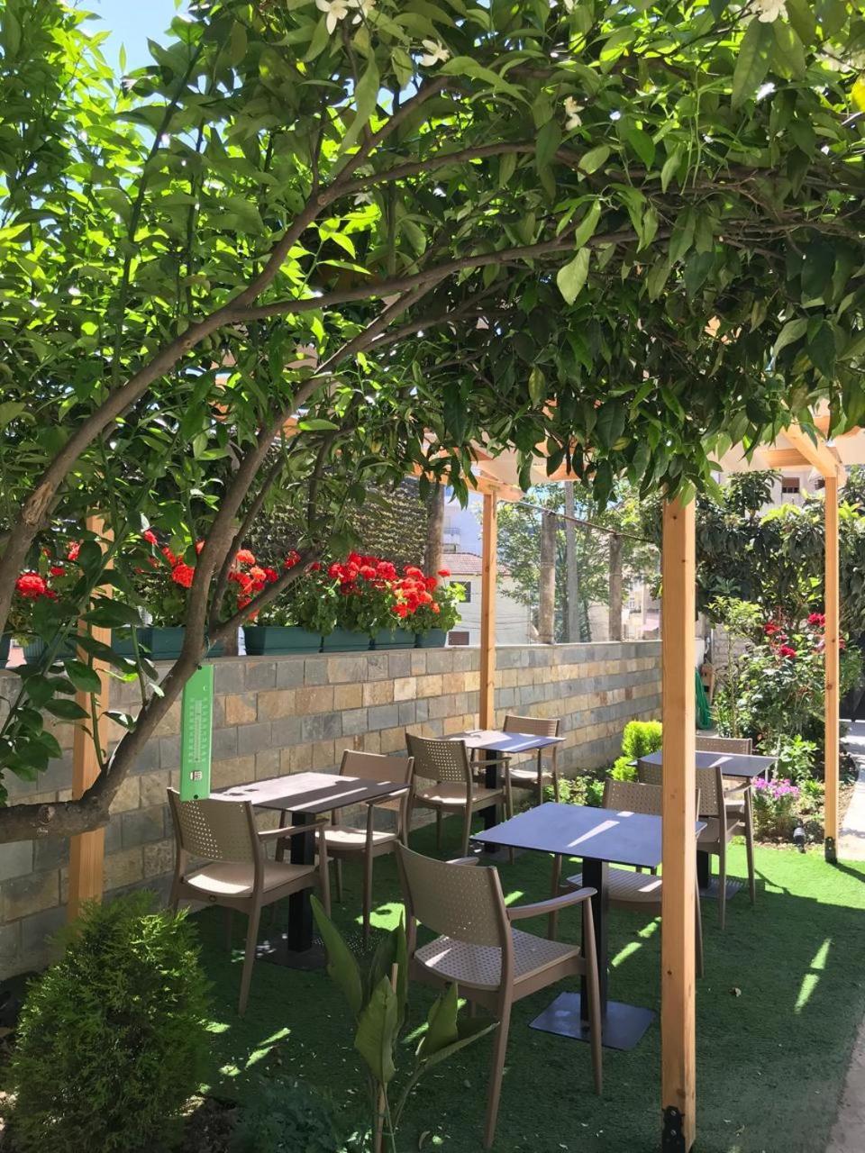 Villa Qeli Gjirokastër Esterno foto